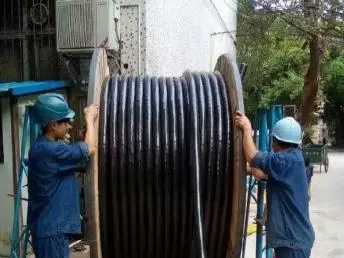 微信圖片_20230606091938 微信圖片_20230606091938