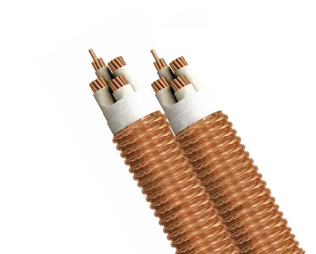 微信圖片_202312301248341 微信圖片_202312301248341