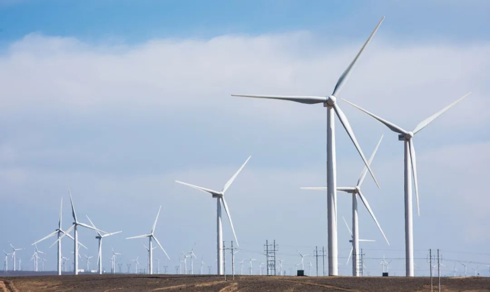 微信圖片_20240708090032 微信圖片_20240708090032